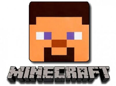 Survie Minecraft