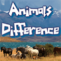 Différences animales