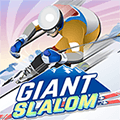 Slalom géant