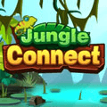 Connexion à la jungle