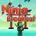 Évasion Ninja